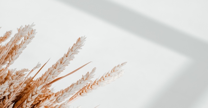 What's Going On When Your Hips Are Making Noise?